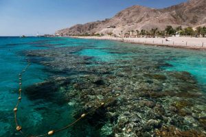 הסעות לאילת