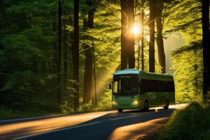 הסעות בצפון